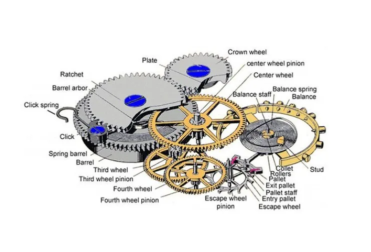 Eye-level view of an automatic watch movement